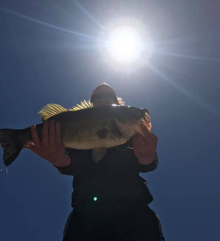 Pennsylvania Bass Quest